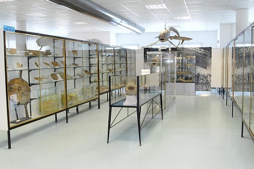  museo del mare