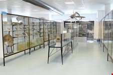  museo del mare