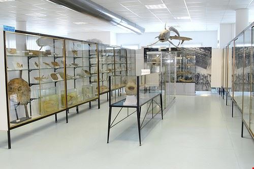 Museo del Mare San Benedetto del Tronto Turismo.Marche - Attribution-NonCommercial-ShareAlike (http://creativecommons.org/licenses/by-nc-sa/2.0/) Turismo.Marche