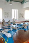  museo del mare