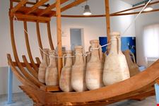  museo ittico capriotti museo ittico augusto