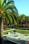  giardini