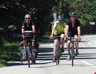  percorso ciclabile tra le palme