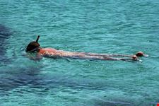  snorkeling