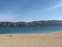  panormos