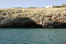  grotte