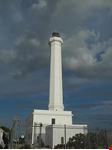  faro