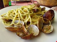  cucina cilentana