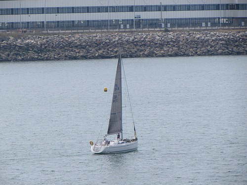  corso di vela per adulti  sailing school