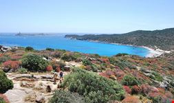  isola dei cavoli