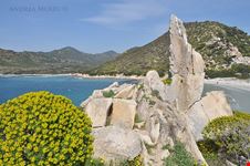  punta molentis