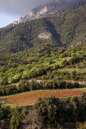  museum of wine