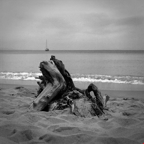  Follonica funebre - Attribution-NonCommercial-NoDerivs (http://creativecommons.org/licenses/by-nc-nd/2.0/) funebre