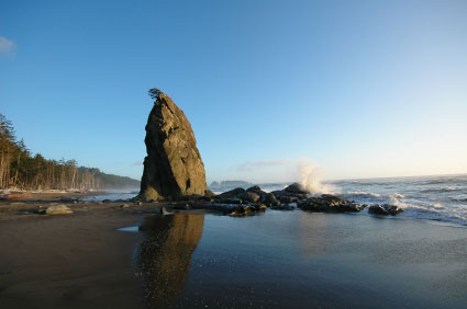 Spiaggia del Olympic National Park
