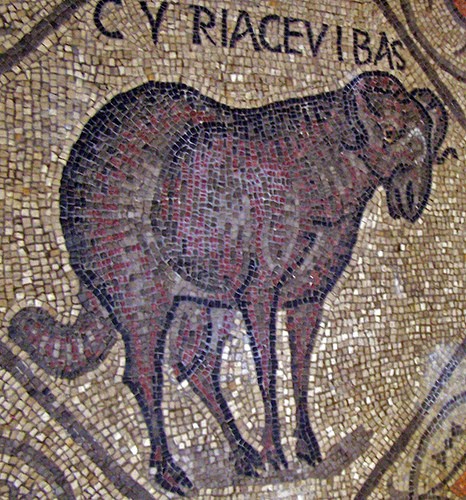  mosaici
