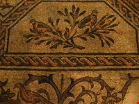  mosaici
