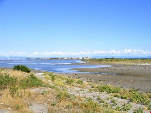 Spiaggia di Banco d'Orio Grado eutrophication&hypoxia - Attribution License (http://creativecommons.org/licenses/by/2.0/) eutrophication&hypoxia