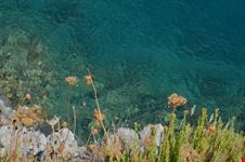 camerota mare 2