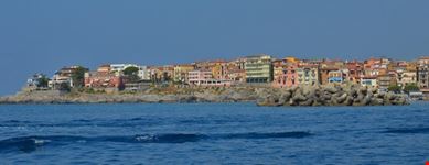 costa camerota