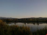 Verde relax