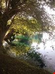 Verde relax