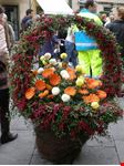  mercato dei fiori a pescia