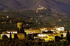  buggiano