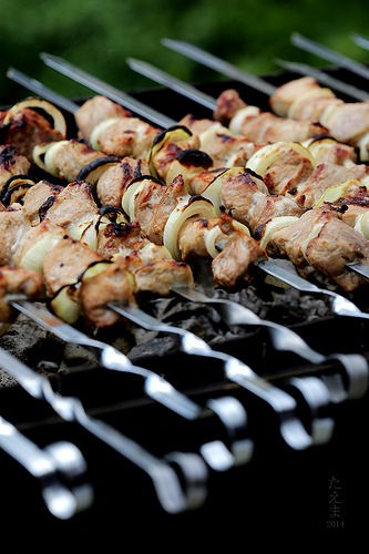  kebabs house de hocapasa