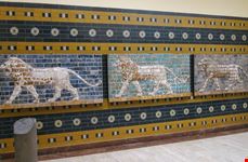  musee archeologique