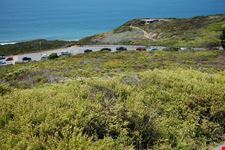  presidio