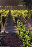  napa valley