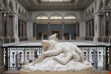  museum fuer alte kunst