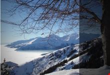 Sport Invernali