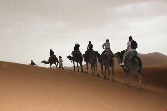  Marrakech  