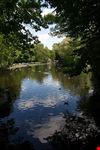  saint stephen s green