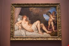  museo di capodimonte