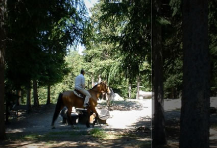 Escursionismo a Cavallo