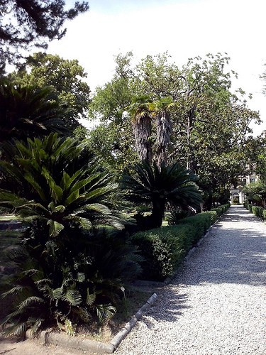  jardin botanique