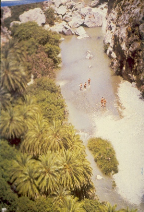 scorcio spiaggia di prevelio