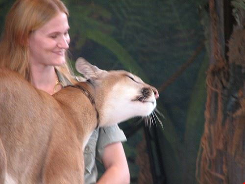  Miami purpleslog - Attribution License (http://creativecommons.org/licenses/by/2.0/) purpleslog