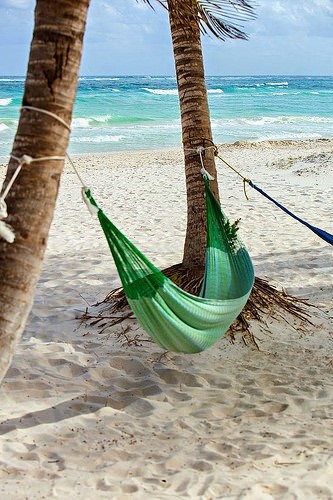  spring break