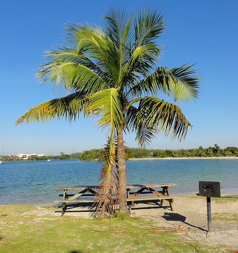  Miami Tach_RedGold&Green - Attribution-NonCommercial-NoDerivs (http://creativecommons.org/licenses/by-nc-nd/2.0/) Tach_RedGold&Green