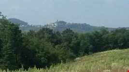 Vista di Monleale alto dalle colline di Volpedo