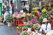  flower market
