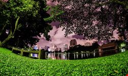  lumphini park