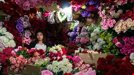  mercado de las flores