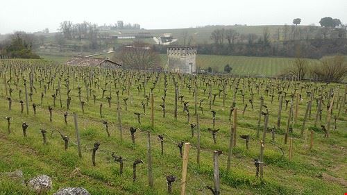 Saint-Emilion - francesvirtual - francesvirtual - Attribution-NonCommercial (http://creativecommons.org/licenses/by-nc/2.0/)