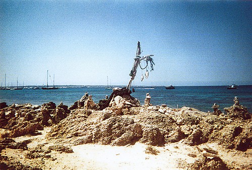  salinas