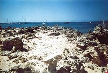  salinas