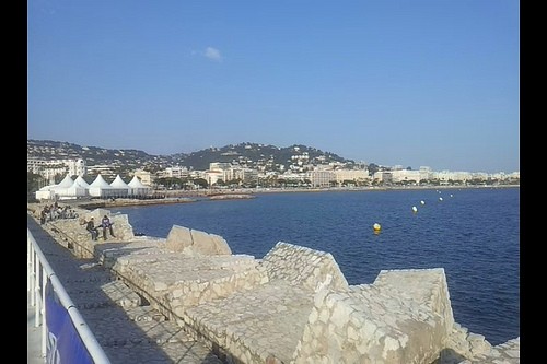  vieux port